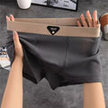 4pcs Men's Boxer Shorts Ice Silk Underwear Plus Size Underpants Cool Breathable