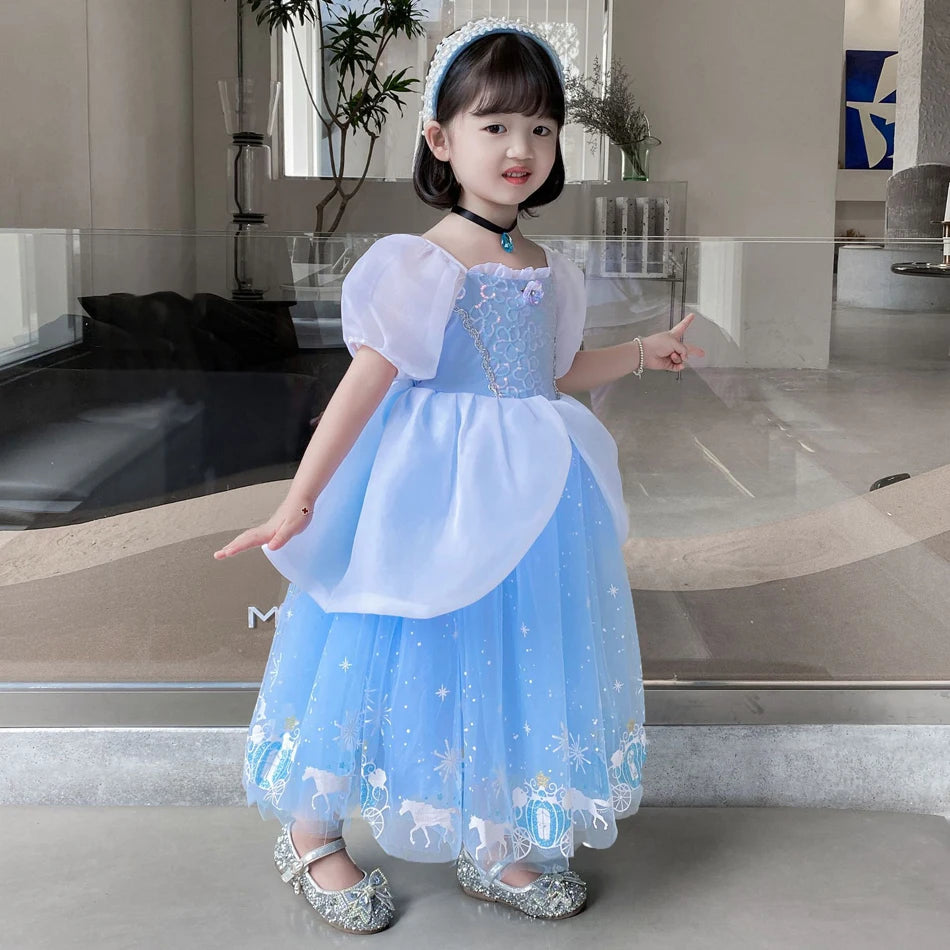 Girls Halloween Cinderella Princess Dress