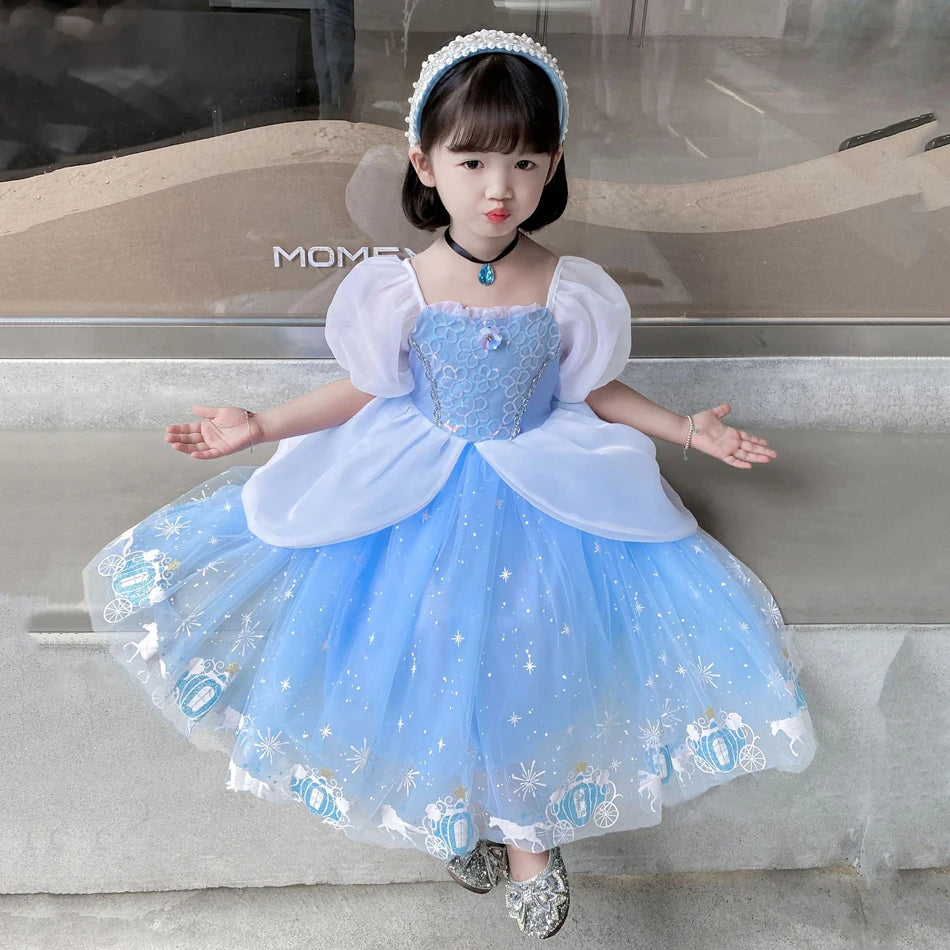 Girls Halloween Cinderella Princess Dress