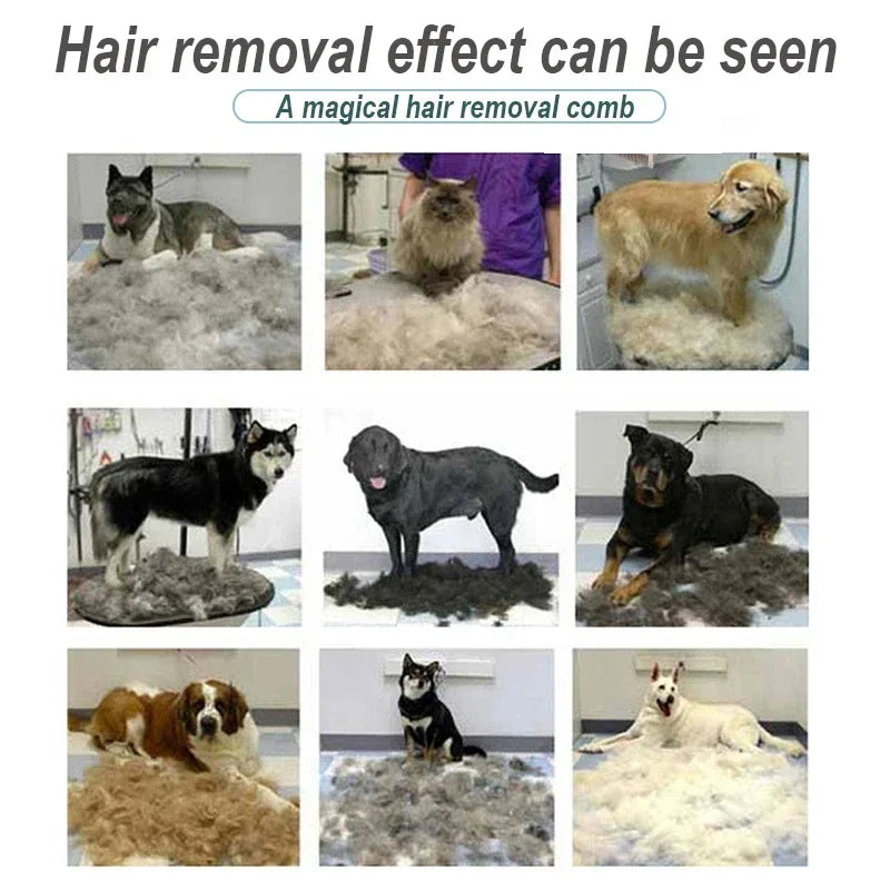 Pet Brush for Dogs Cats-Hair Removal