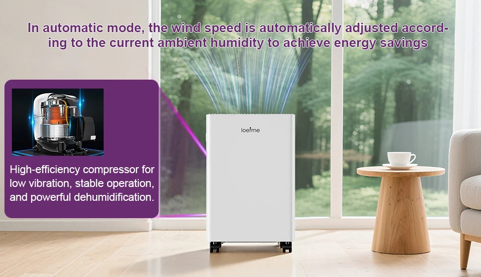 LOEFME 10L Dehumidifier with Auto Humidity Sensor, 24H Timer, 3 Modes for Home, Continuous Drainage Digital Display, Dryer Mode