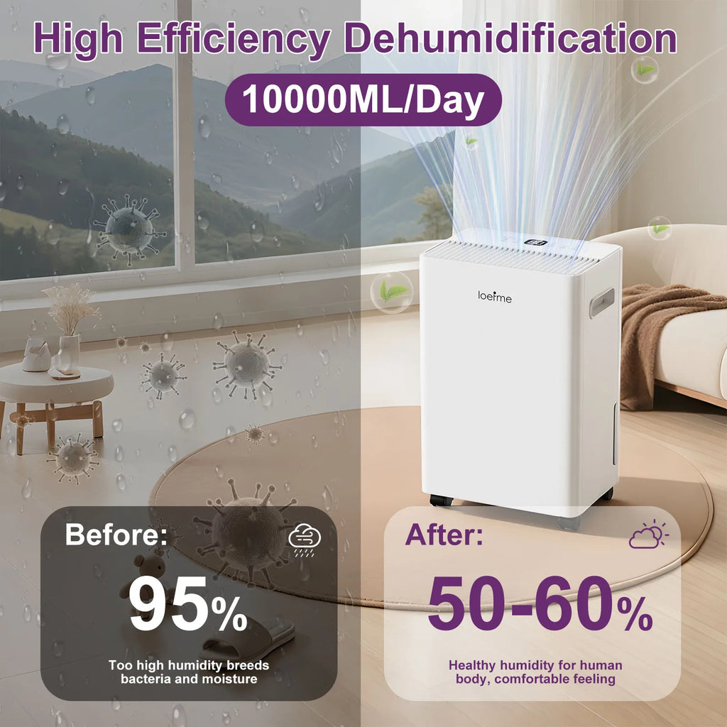 LOEFME 10L Dehumidifier with Auto Humidity Sensor, 24H Timer, 3 Modes for Home, Continuous Drainage Digital Display, Dryer Mode