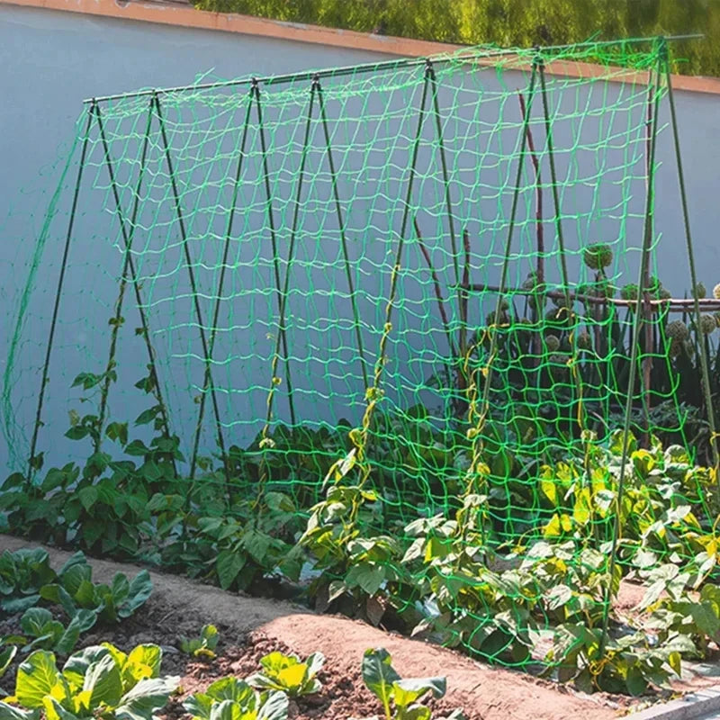 Plant Trellis Pergolas, Heavy-Duty Polyester Grow Net, Garden Trellis Netting With Square Mesh For Climbing Plants, Vegetables,